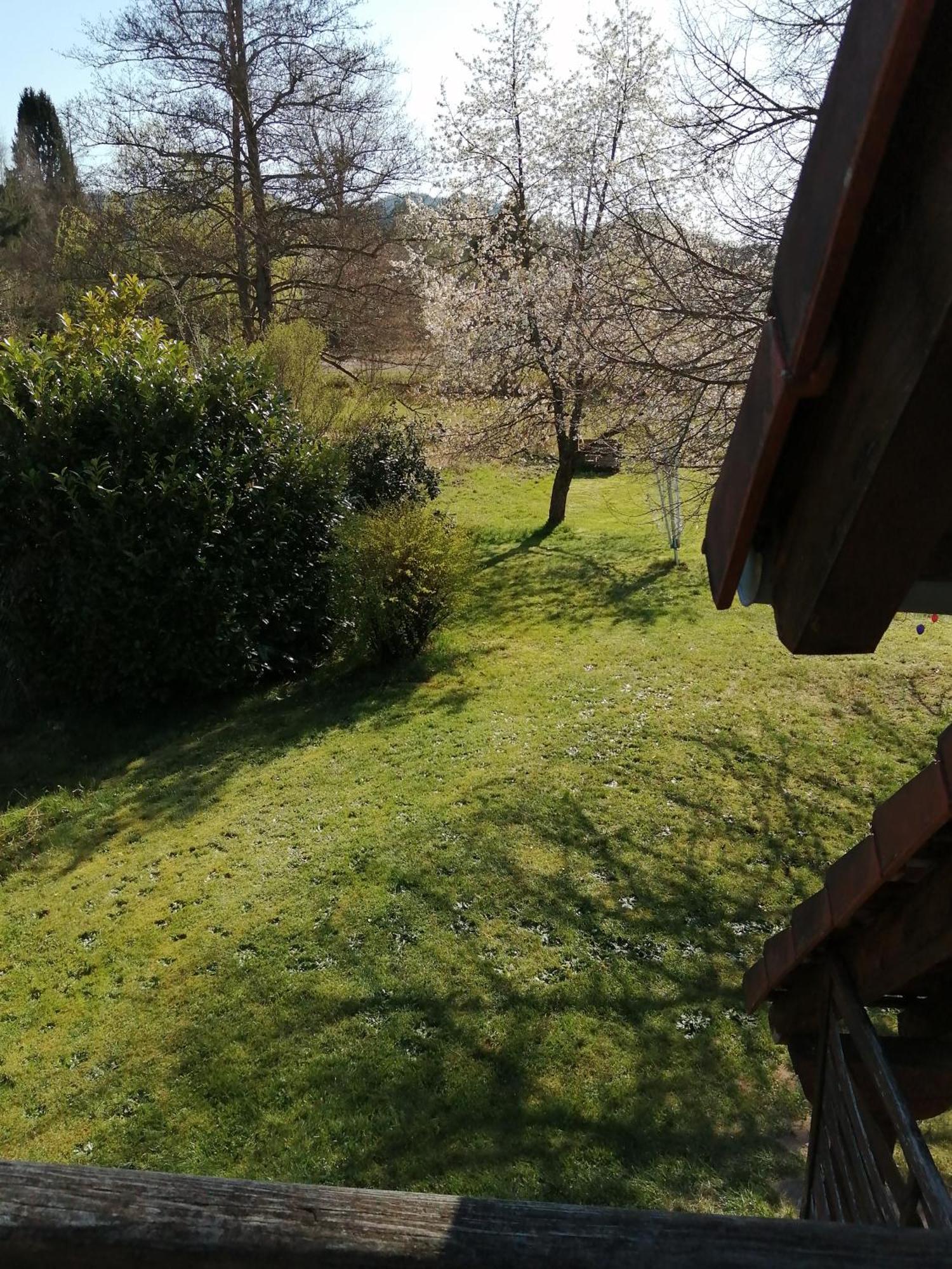 Gite 1 Etage Dambach Esterno foto